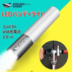 充電式懐中電灯 高輝度 LEDライト ハンディライト 高い透過率 放熱性抜群 長く使え 耐衝撃 アウトドア 3モード コンパクト フラッシュ
