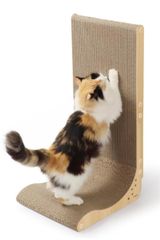 Item thumbnail for item 2065bb70-fbcf-4459-8a56-7595232a797c