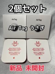 Air Tag 本体2個セット2023年 Apple Store 初売り限定 兎