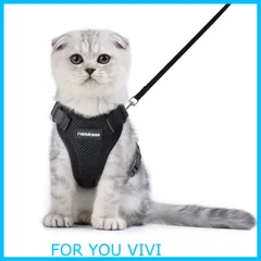 【数量限定】Rabbitgoo 猫 ハーネス リード セット 小型犬 犬猫兼用 抜けない はーねす ソフト胸あて 軽量 足を上げず装着完成 サイズ調節可 ネコ 散歩 紐 夜反射 通気メッシュ 咳込み防止 胴輪 ベスト りーど（黒 XSサイズ）