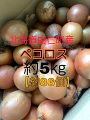 北海道由仁町産【ペコロス】約5㎏