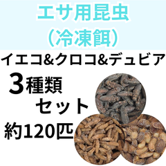 【冷凍餌】 3種セット！　冷凍イエコオロギ　冷凍クロコオロギ　冷凍デュビア　　爬虫類　両生類　エサ　餌　魚類　哺乳類　レオパードゲッコー　フトアゴヒゲトカゲ　カエル　蛙　トカゲ　ヤモリ　イモリ　お試し