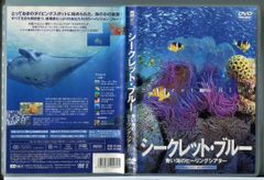 キングオブコメディ 第6回単独ライブ 葉桜 ハザクラ/中古DVD