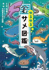 情報デザインシリ-ズ vol．1/角川書店/京都造形芸術大学