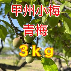 5/5～発送】山梨県産 甲州小梅 青梅 10kg 送料無料 - メルカリ