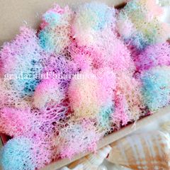 フィンランドモス*.❁レインボー　花材　プリザーブドフラワー　海素材
