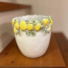 シャンタルレモンリーフベーシックS　レモン　フルーツ　爽やかな植木鉢　寄せ植え　花　園芸雑貨　ガーデニング