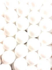 Item thumbnail for item ea6b480a-5c08-48f6-ba7c-835af6008210