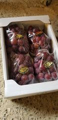 くだもの大国岡山 「 特産ピオーネ」２ＫＧ箱