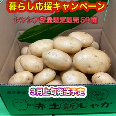 2025年最新】じゃがいもシンシアの人気アイテム - メルカリ