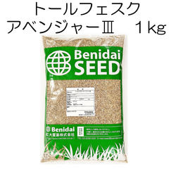 トールフェスク種子　アベンジャーⅢ　1kg【種】紅大貿易　芝の種　芝生の種　寒地型　西洋芝