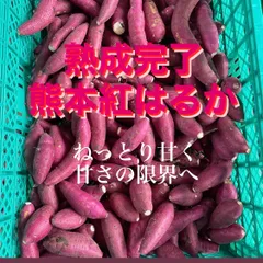 無農薬熟成紅はるか「さつまいも」MからLサイズ　箱込み8キロ程