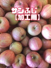 りんご山形県天童産【サンふじ【加工用】】