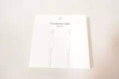 Apple アップル Thunderbolt cable 0.5 m MD862ZM/A 純正