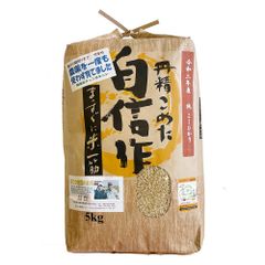 【農薬：栽培期間中不使用】 玄米 コシヒカリ 5kg コシヒカリ福岡県産 令和4年産