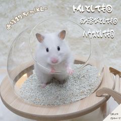 【すぐ届く】 ハムスター バス ハウス ゴールデンハムスター トイレ スケルトン お風呂 浴び 浴び砂 サンドバス 健康診断 できちゃう おしゃれ ２ＷＡＹ ハウスにもなる♪ 隠れ家 【直径17.5ｃｍ】