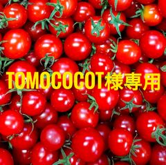 tomococot様専用　３kg＋100g　クール便