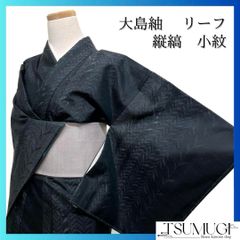 値下げ交渉OK！」夏物 L寸 洗える ポリエステル 絽 小紋 セット
