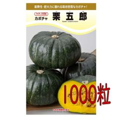 カネコ種苗　栗五郎　南瓜　１０００粒