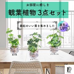 LANDL ミニ おしゃれ インテリアグリーン 造花 観葉植物  (ガラス鉢)