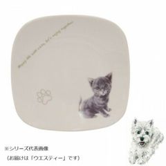 SHOP JAPAN ワンダーコアスマート ツイストボード WDS-TBWS - メルカリ