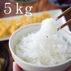 【きめやか美研の乾燥こんにゃく米５ｋｇ業務用】低糖質OFFご飯が簡単に！