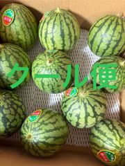 こだますいか（姫甘泉）小サイズ10個 箱込7キロ程度 茨城県産