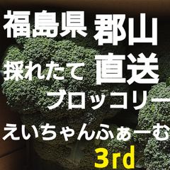 福島県郡山市直送!ブロッコリー(^_^;)です!