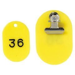 Item thumbnail for item a10bda45-3696-4008-b767-c59c2ed61770