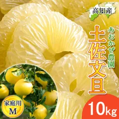 文旦 土佐文旦 家庭用 小 Mサイズ 27～32玉 10kg 宿毛文旦 産直 あおかぜ農園 宿毛 ぶんたん 宿毛市 産地直送 高知産 10キロ 果物 柑橘 宅急便
