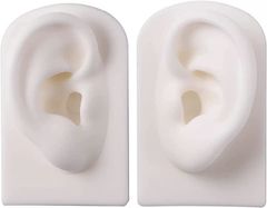 Item thumbnail for item 9d63df00-e339-45c8-a741-01871ff25bec