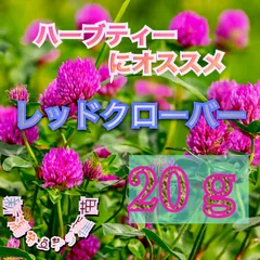 ムラサキツメクサのサムネイル