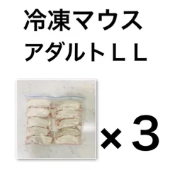 2025年最新】冷凍 ラットの人気アイテム - メルカリ