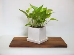 2025年最新】槐 花瓶の人気アイテム - メルカリ