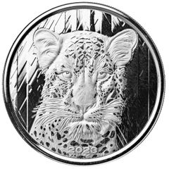 2023年 ガーナ 20セディ 銀貨 ジャガー - メルカリ