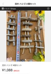 流木 約50cm はしごセット