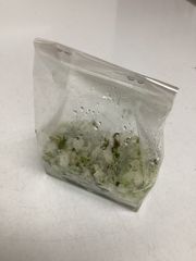 専用