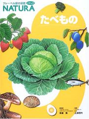 解説 法人税法〔第5版〕／小池和彰、齋藤真紀 解説 所得税法〔第5版〕 | 小池 和彰, 齊藤 真紀 |本 | 通販