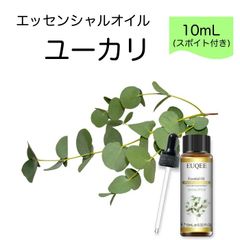 ユーカリ Eucalyptus globulus スポイト付 10ml EUQEE 高品質 PREMIUM GRADE ウッディ 樹木