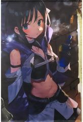 閃乱カグラ 斑鳩 B2タペストリー - メルカリ