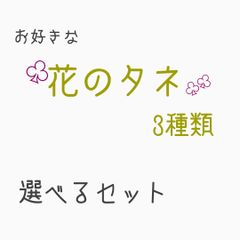 花のタネ　選べる3種類セット！　A:綿のタネ(白色15個)・B:綿のタネ(茶色15個)・C:ヒペリカム-マジカルシリーズ(ダークレッドのなる実 花5個分)・D:ツルウメモドキ(10個)・E:ケイトウMIix(20個)  ★ご購入後に欲しいもの3種類選んで下さい