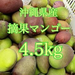 沖縄県産　摘果マンゴー　4.5kg