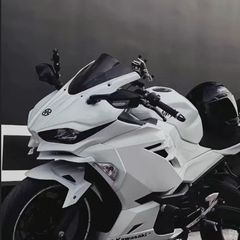 Competition　werkes スヴァルトピレン用 スーパーバイク選手権にも使用 COMPETITION WERKES マフラー｜AxxL