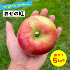 優しい甘さの果汁が溢れる！ 8月収穫 幻のリンゴ 「おぜの紅5キロ箱訳あり品」長野県産 安曇野 信州産 幻