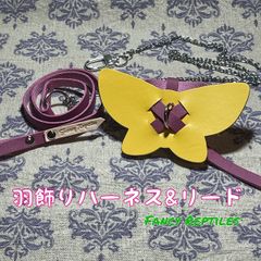 フトアゴヒゲトカゲ用羽飾りハーネス&リード フェアリー