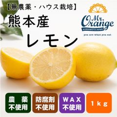 【良品】 国産 レモン 1kg(熊本産・栽培期間中農薬不使用)　※クール便でのお届け