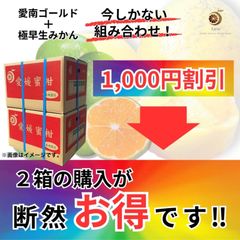 お得‼️２箱セット　極早生みかん日南4.5kg＋愛南ゴールド4.5kgぐるりん　大幅割引き‼️