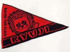 【中古】雑貨 [単品] 今市隆二 フラッグタオル 「三代目 J SOUL BROTHERS LIVE TOUR 2019 “RAISE THE FLAG”」 EXILE TRIBE STATION限定 フラッグタオル入り缶同梱品