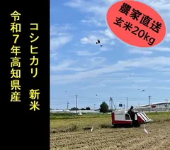 2025年最新】コシヒカリ種籾の人気アイテム - メルカリ 2025年最新】コシヒカリ種籾の人気アイテム - メルカリ