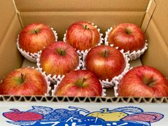 信州産「赤田の家」サンふじ　8個入り3k箱
